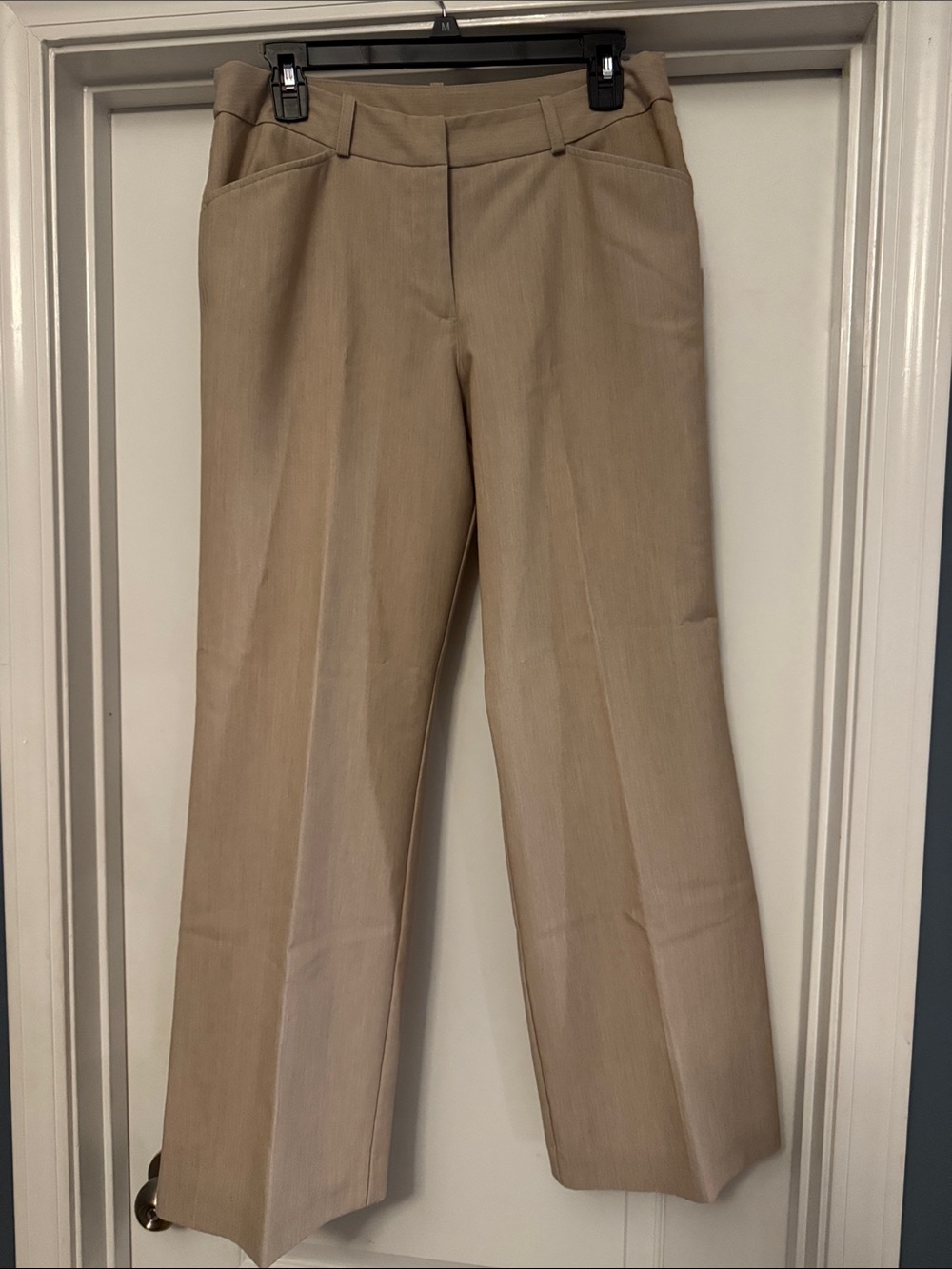 Classic Women's Modern Fit Dress Pants in Beige
